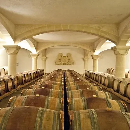 Chateau France 蒙塔尼亚克